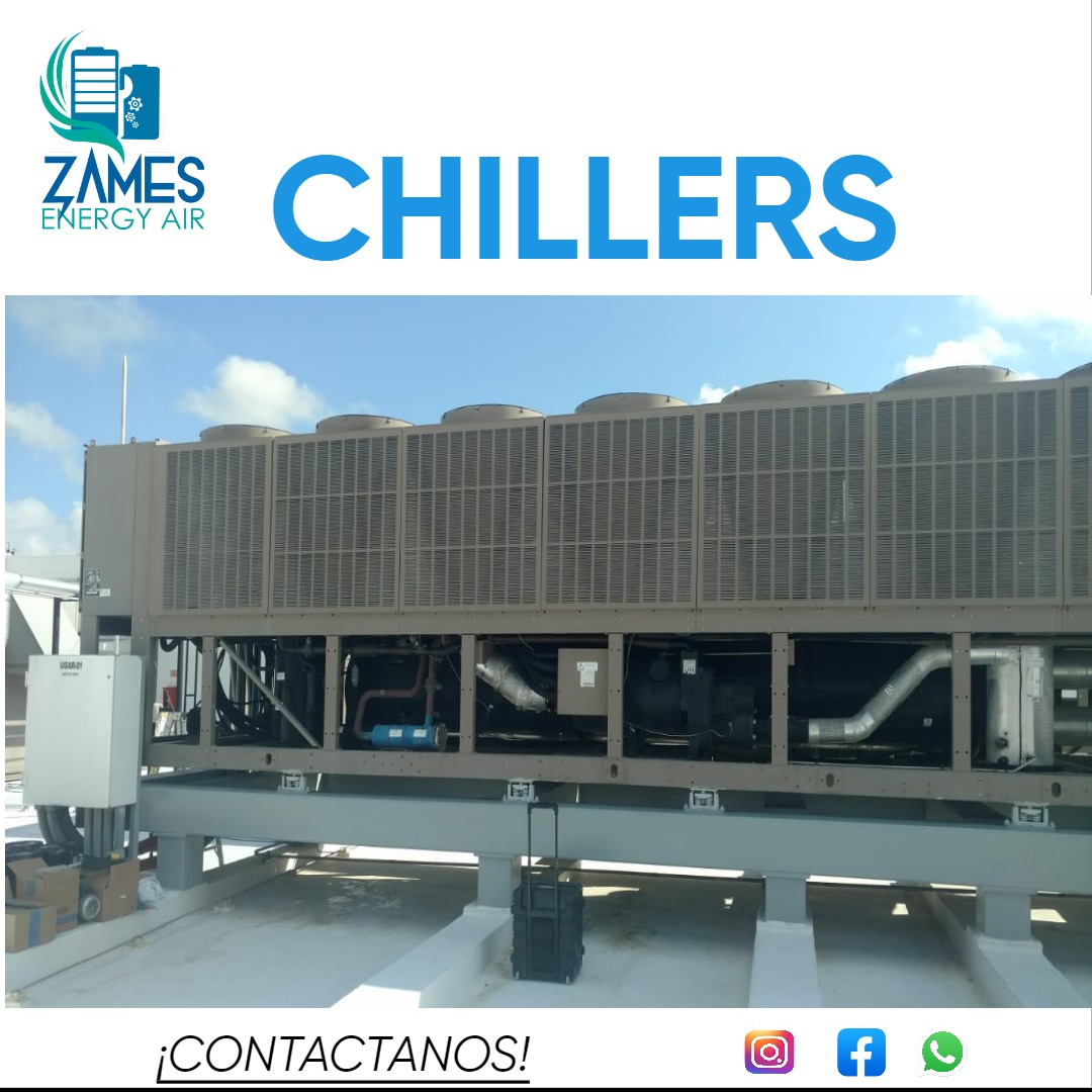 Imagen 21